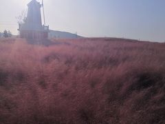 -羊亭河湿地公园