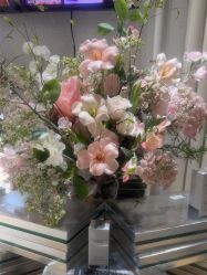 -薇薇安花系SPA