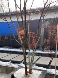 -爱儿美儿童摄影(朝阳公园店)