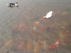 -北京小汤山医院体检中心