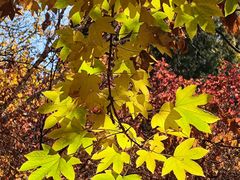 -国家植物园南园