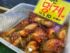 -西归浦每天偶来市场