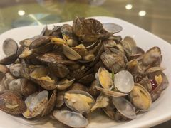 辣炒蛤蜊-今鲜源酒店·海鲜锅贴青岛菜(新湛路店)