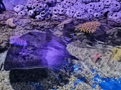 -白鹿仓冰雪海洋世界