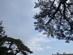 -妙峰山风景名胜区