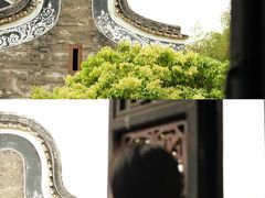 -碧江金楼