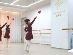 -红舞鞋舞蹈教育(近江校区)