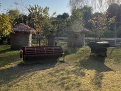 -溱湖国家湿地公园