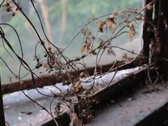 -济南轻骑摩托车有限公司(和平路)