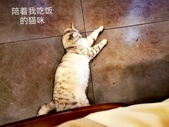 -聚首堂·特色小吃·肘子·炙子烤肉烤串(什刹海德胜门店)