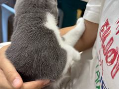 -pd派德宠物中心医院24H急重症·眼科中心·血液透析中心(嵩山北路店)