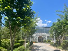 -南宫五洲植物乐园