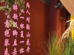 -解家河南菜(金水路店)
