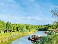 -上海长兴岛郊野公园