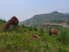-灵山