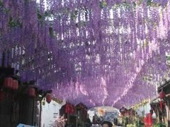 -婺源梦里老家大型山水实景演出