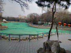 -莲湖公园