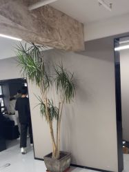 -宫铭烫发染发接发店