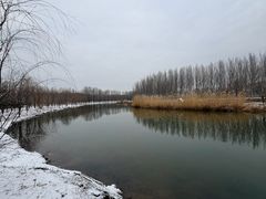 -东郊湿地公园