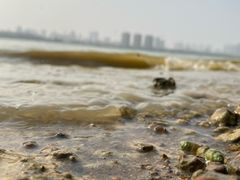 -艾溪湖湿地公园