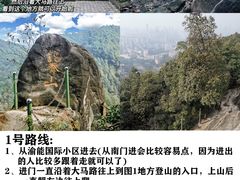-南山植物园