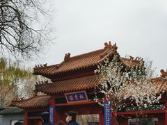 -桃花堤公园