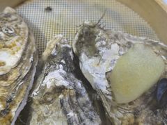 -杨氏青龙虾·羊蝎子(金盛路总店)