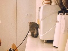 大堂-Cafe on warm(丹霞店)