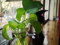 -雕刻时光咖啡馆(交大店)