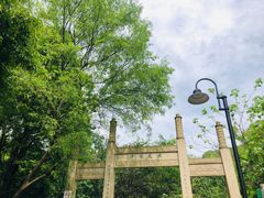 -雨花胜境