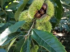 -三旗百汇商品城