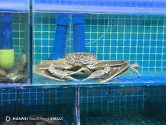 -震海贝烤贝·民俗特色店(延吉总店)
