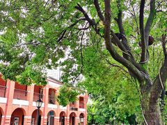 -辛亥革命博物院北区