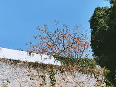 -仙岳公园