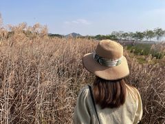 -光明小镇欢乐田园