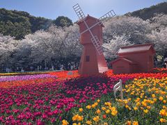-苏州上方山国家森林公园