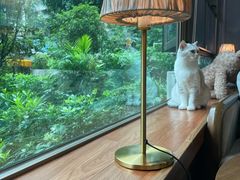 -咖法森林·咖啡  酒吧(天河店)