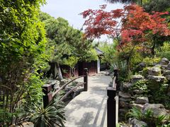 -戏马台景区