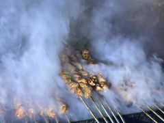 羊肉串-内蒙古海拉尔烤羊腿·烤全羊·烧烤