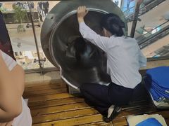 -巴黎春天(浦建店)