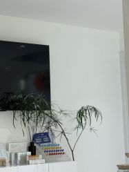 -安那般那皮肤年轻化ANAPANA