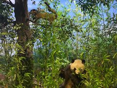 -陕西自然博物馆