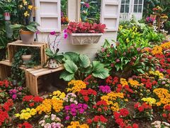 -北京植物园-展览温室