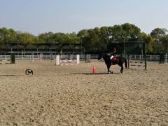-昆城国际马术中心