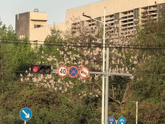 -苏州独墅湖体育馆