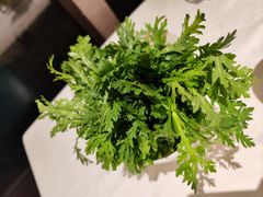 蓬蒿菜-纯味斑鱼府(中海环宇荟店)