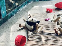 -沈阳森林动物园