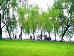 -柳浪闻莺公园