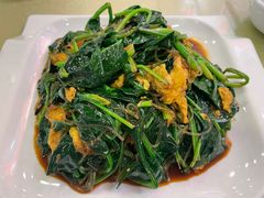菠菜粉丝炒鸡蛋-东四民芳餐厅(朝阳门店)