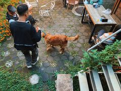 -田德能咖啡博物馆
